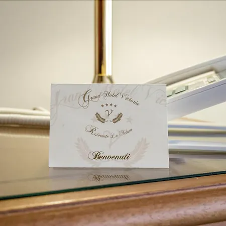 Grand Victoria Hotel 4*