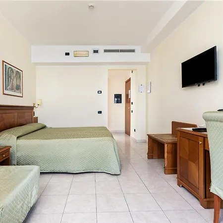 Hotel Grand Victoria 4*